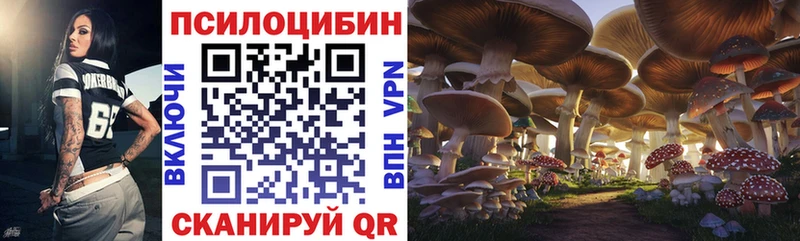 darknet состав  Зеленоградск  Псилоцибиновые грибы Psilocybine cubensis 